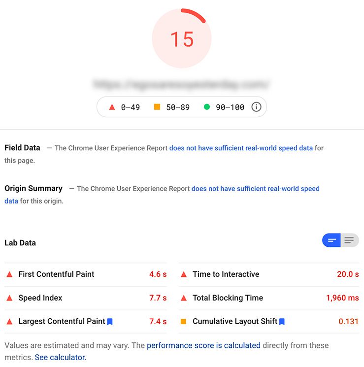 Shopify Website Google Pagespeed Insights